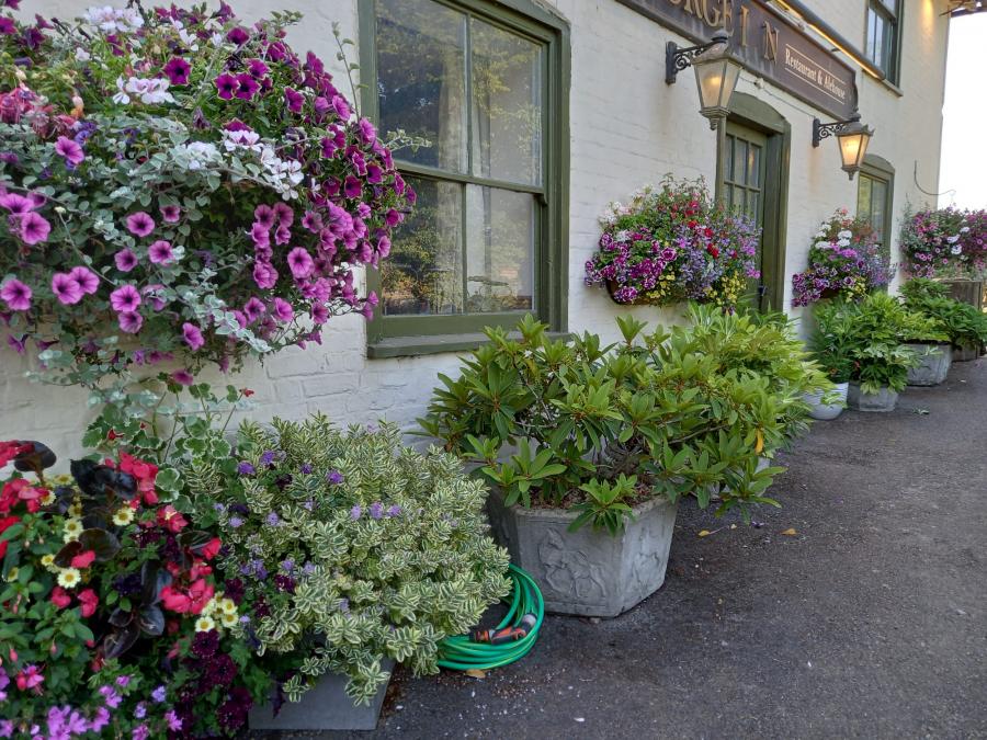 The George Inn Blooms