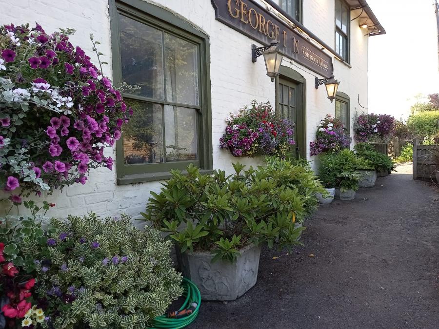 The George Inn Blooms