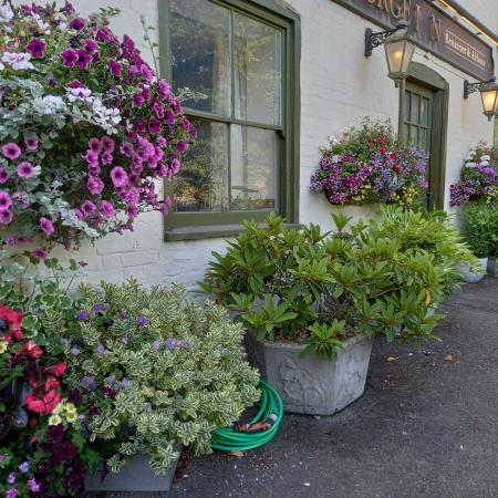The George Inn Blooms